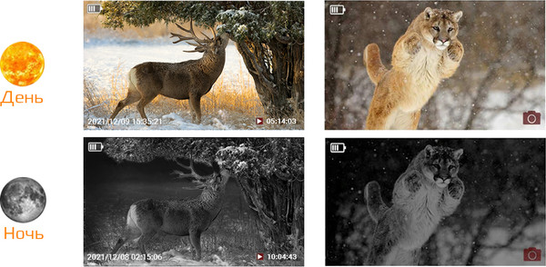 Фотоловушка Suntek HC-810A