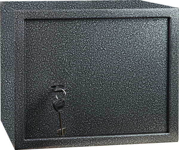 Оружейный сейф EasySafe Ружейник П1 / 30973 - фото