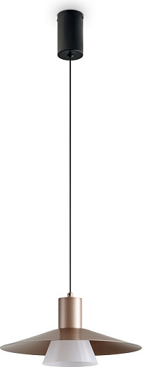 Потолочный светильник Freya Fari FR5600PL-L5MG