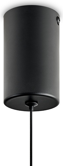 Потолочный светильник Freya Fari FR5600PL-L5MG