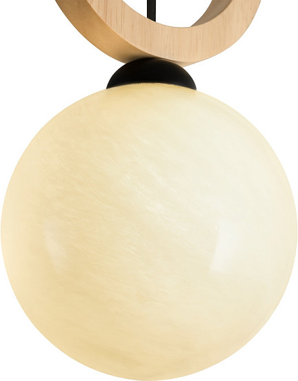 Потолочный светильник Freya Irisa FR5593PL-01B