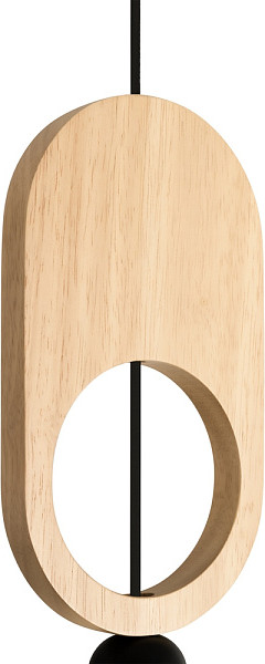 Потолочный светильник Freya Irisa FR5593PL-01B