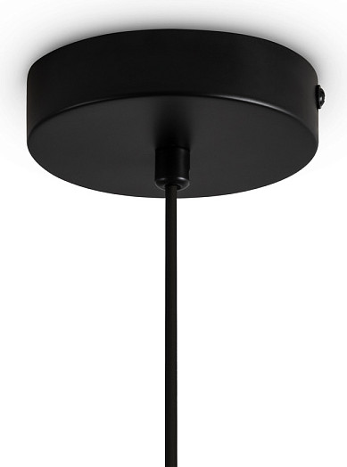 Потолочный светильник Freya Irisa FR5593PL-01B