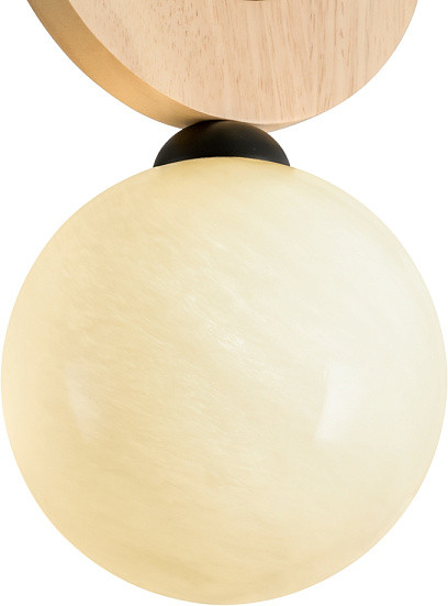 Потолочный светильник Freya Irisa FR5593PL-01B1