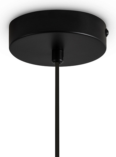 Потолочный светильник Freya Irisa FR5593PL-01B1