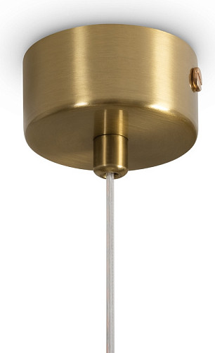 Потолочный светильник Freya Pareo FR5590PL-01BS