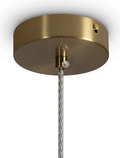 Потолочный светильник Freya Sylvia FR2056PL-01GR