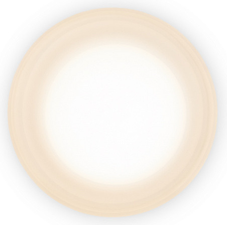 Бра Freya Retro FR5603WL-L8W