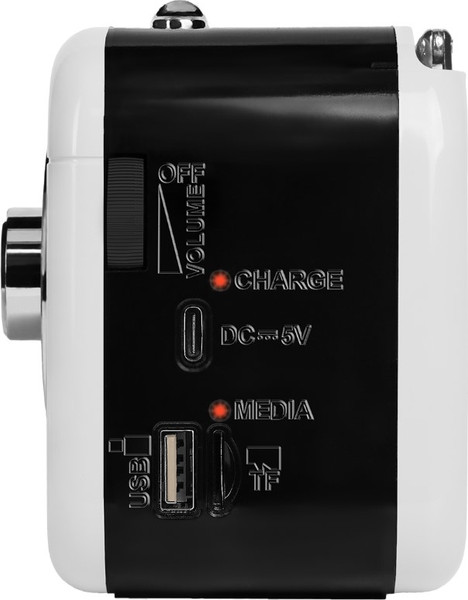 Радиоприемник Ritmix RPR-033