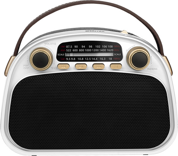 Радиоприемник Ritmix RPR-040