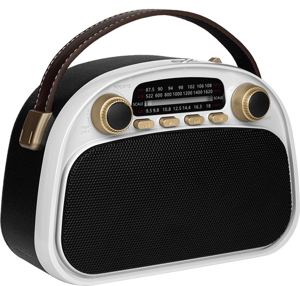 Радиоприемник Ritmix RPR-040