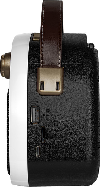 Радиоприемник Ritmix RPR-040