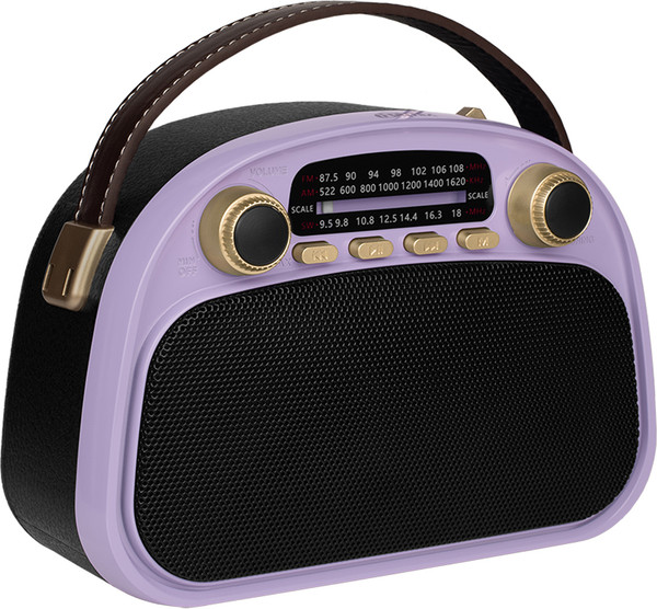 Радиоприемник Ritmix RPR-040