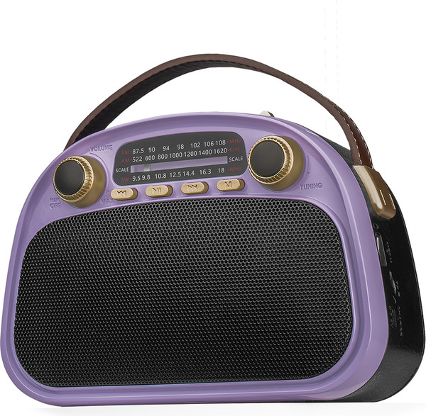 Радиоприемник Ritmix RPR-040