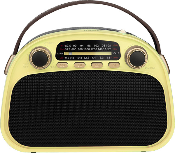 Радиоприемник Ritmix RPR-040