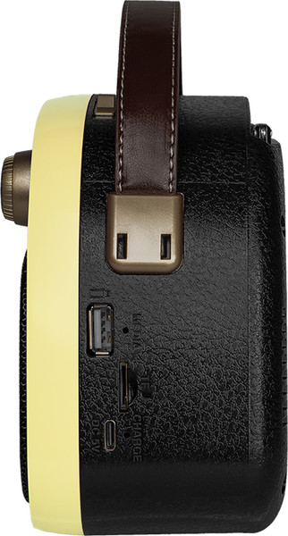 Радиоприемник Ritmix RPR-040