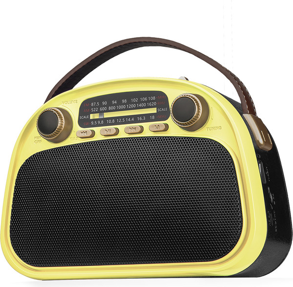 Радиоприемник Ritmix RPR-040