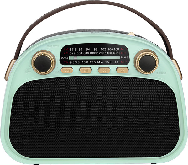 Радиоприемник Ritmix RPR-040