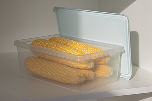 Контейнер Berossi Freshpak ИК 99989000