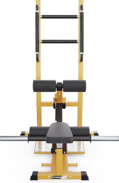 Силовой тренажер DFC Stonerise D005