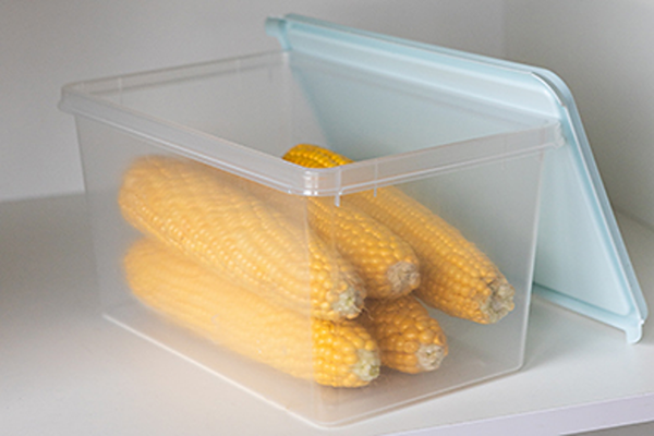 Контейнер Berossi Freshpak ИК 97789000