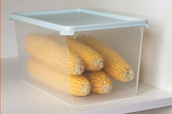 Контейнер Berossi Freshpak ИК 97789000