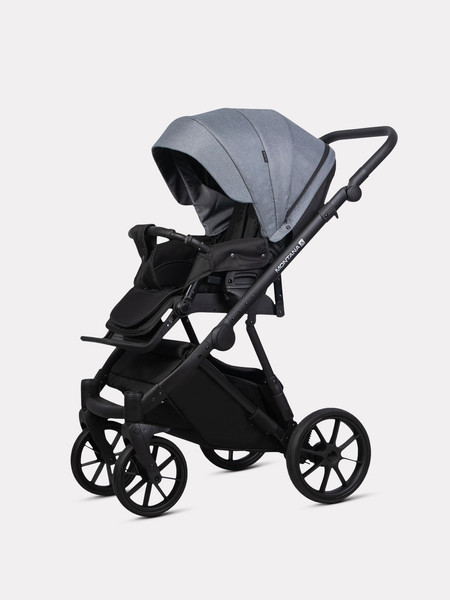 Детская универсальная коляска Riko Montana X Plus 2 в 1