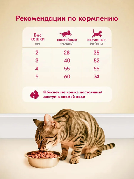 Сухой корм для кошек L'amour с говядиной