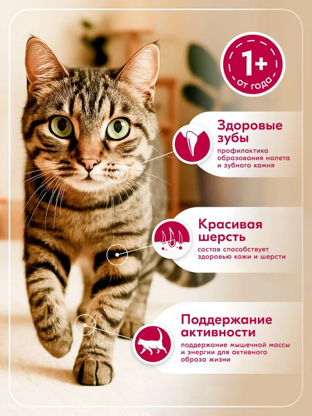 Сухой корм для кошек L'amour с говядиной